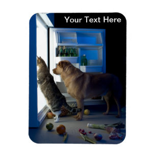 Hem- ensam hund- & kattmagnet magnet