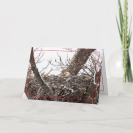 Hem för Helgdag Helgkort