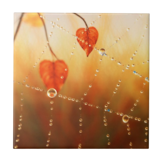 Hem från en dekorativ til på hösten/trivet kakelplatta (Framsidan)