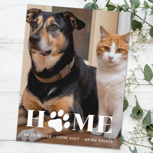 Hem Hund Flyttad Anpassad Bild Vi Har Flyttat Vykort