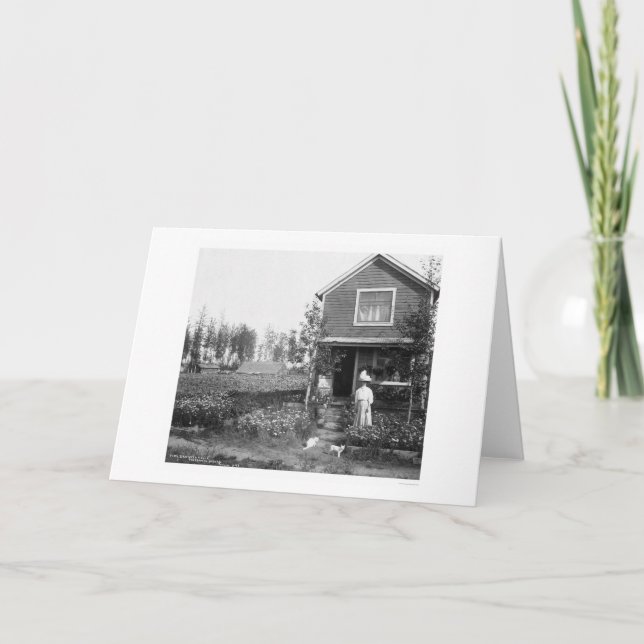 Hem- katter Fairbanks Alaska 1916 Kort (Framsida)