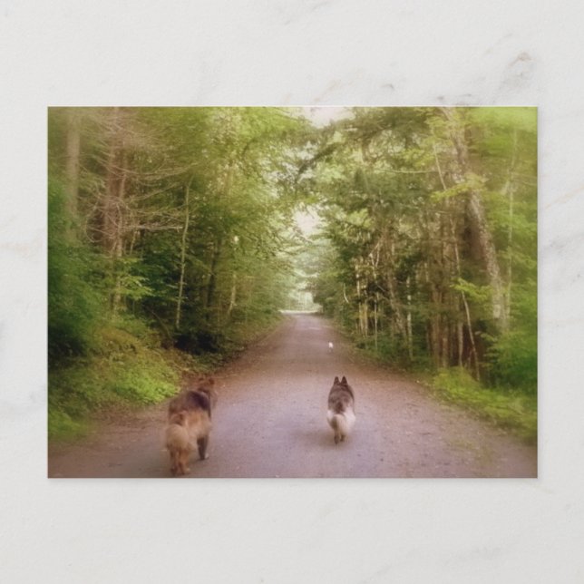 Hem på vägen vykort (Framsida)