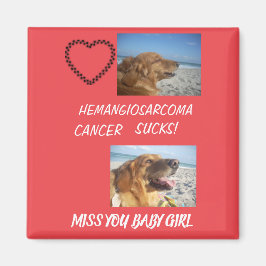 Hemangiosarkom Pet Loss Keepsaké Magnet