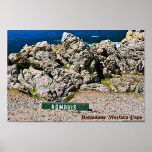 Hemanus Sten,Westerna Kap Poster
