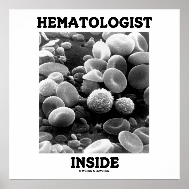 Hematolog Inside (blodceller) Poster (Framsidan)