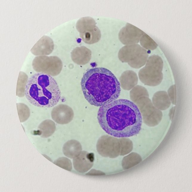 Hematologi för mikroskop från rbcs-skivor knapp (Framsida)