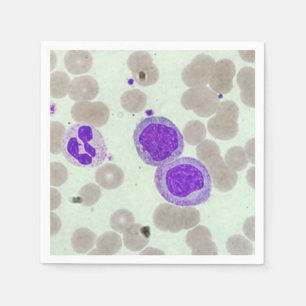 Hematologi för mikroskop från rbcs-skivor pappersservett