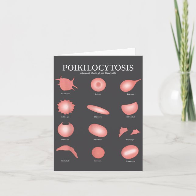 Hematologi Röd Blodcell Laboratorievetenskap Hemat Kort (Framsida)