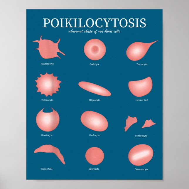 Hematology Red Blood Cell Laboratory Science Hemat Poster (Framsidan)