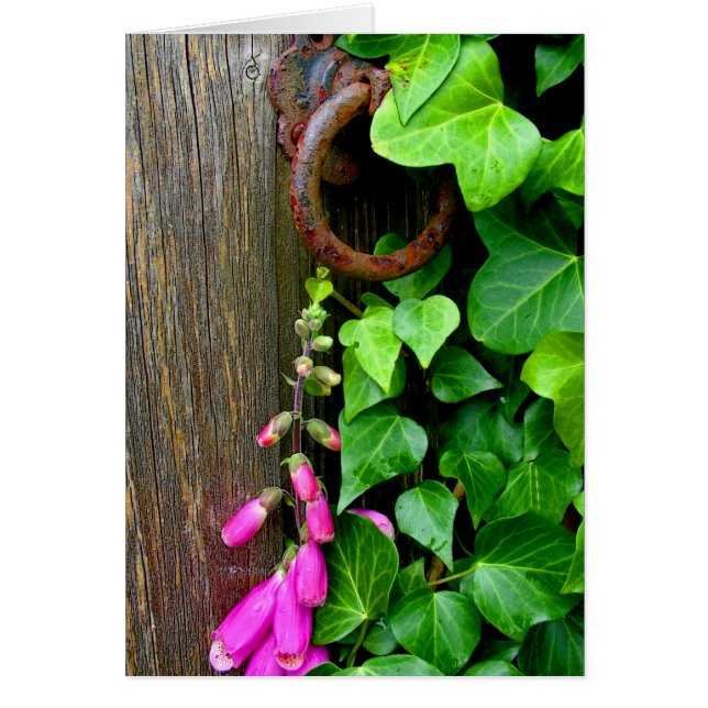 HEMDOKUMENTET HÄLSNINGSKORT (Framsidan)