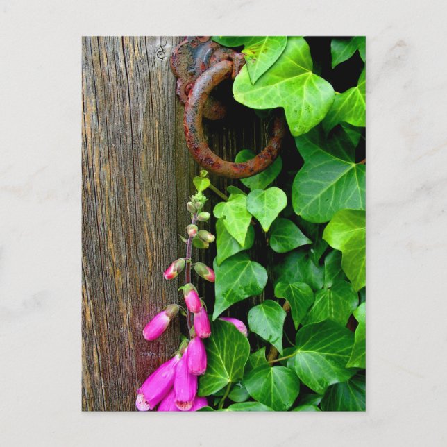 HEMDOKUMENTET VYKORT (Framsida)