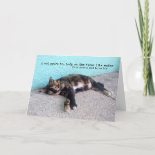 HEMINGWAY CAT-gratulationskort Tack Kort