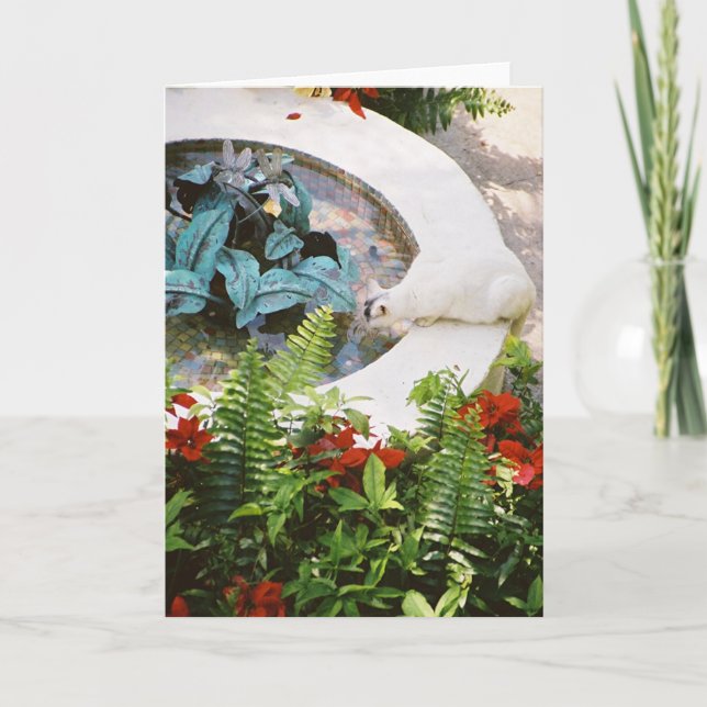 Hemingway katt 1 - hälsningen & noterar kort (Framsida)