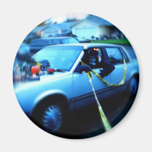 Hemlig bil magnet