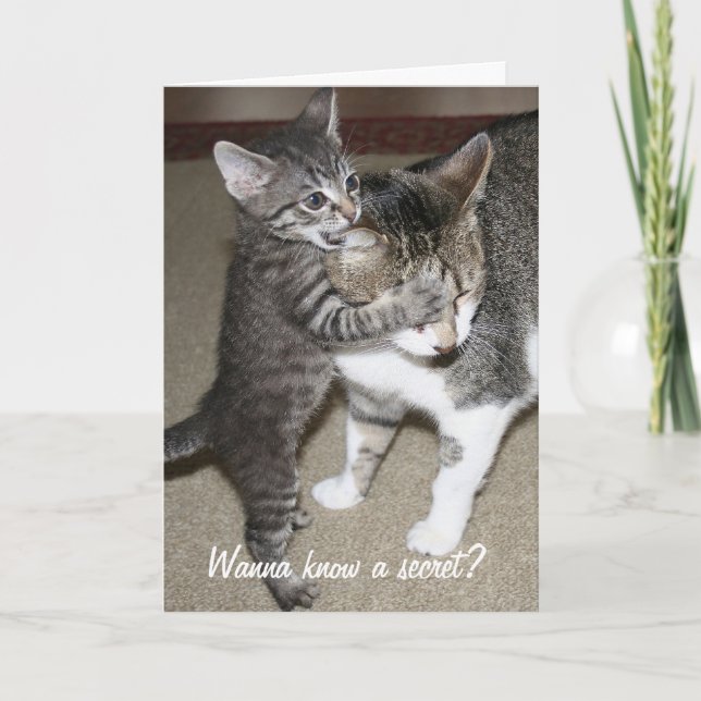 Hemlig Kort (Framsida)