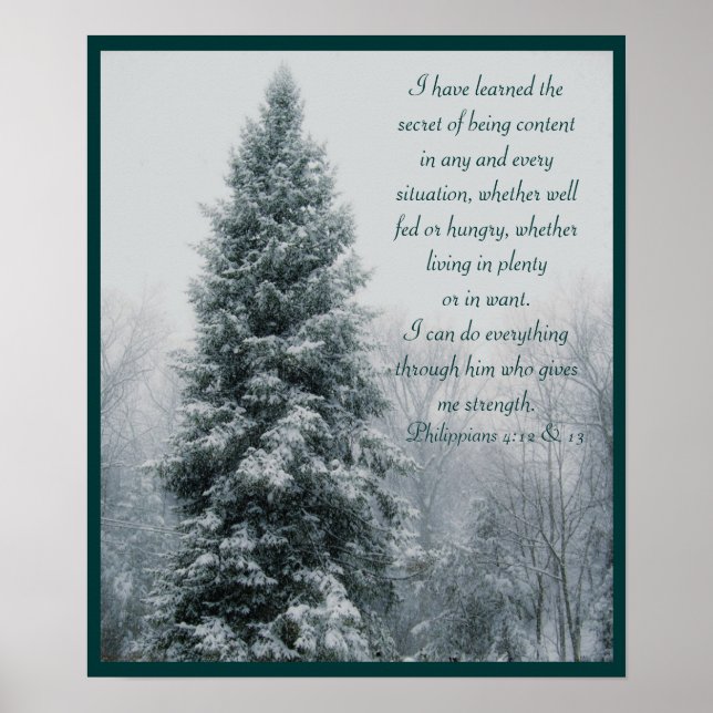 Hemlig kristen vinterscen poster (Framsidan)