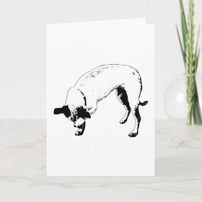Hemlig Leende Terrier Kort (Framsida)