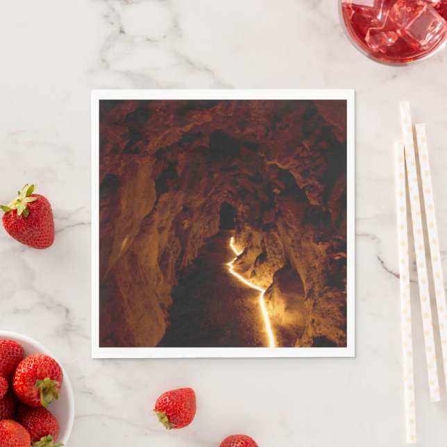 Hemlig tunnel pappersservett (Insitu)