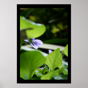 Hemlig Violet Floral Photography Poster