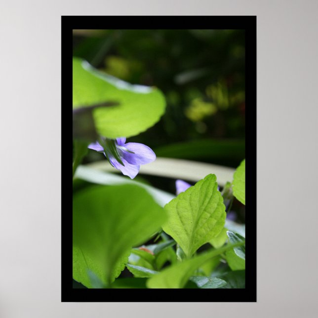 Hemlig Violet Floral Photography Poster (Framsidan)