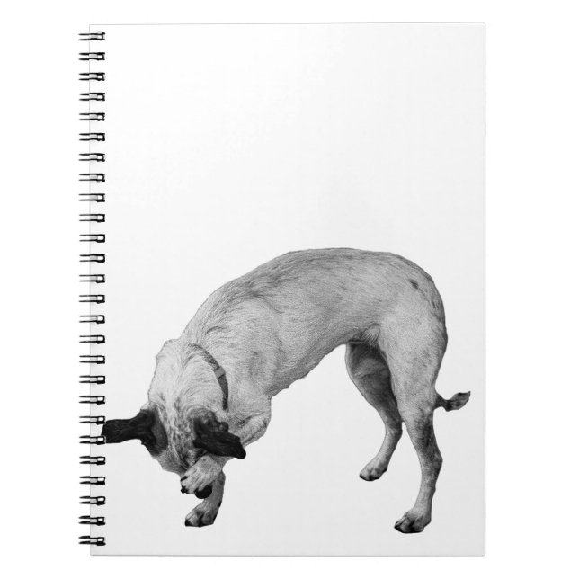 Hemliga listor Terrier Anteckningsbok (Framsidan)