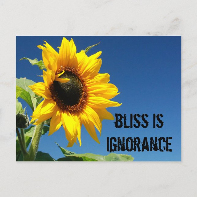 Hemligheten att glädjas är fullständig okunnighet vykort (Framsida)