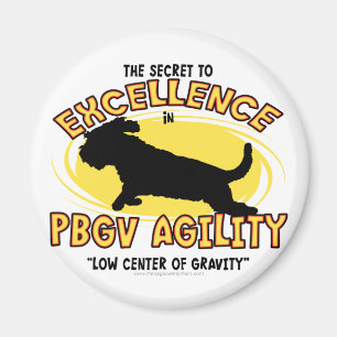 Hemlighetmagnet för Agility PBGV Magnet