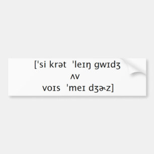 Hemligt språk bildekal