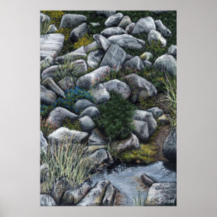 Hemligt ställe i skogen poster