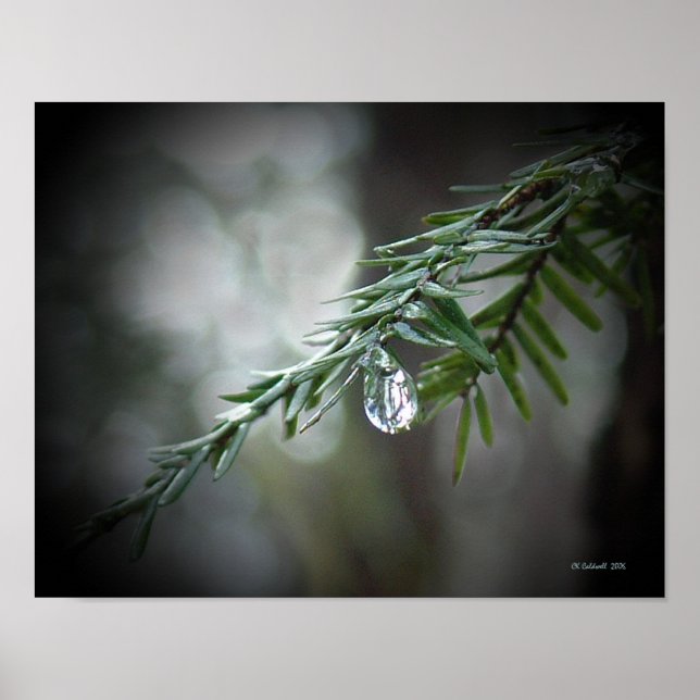 Hemlock Tårar Poster (Framsidan)