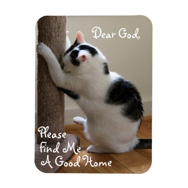 Hemlös Cat's Prayer - Magnet (Vertikal)