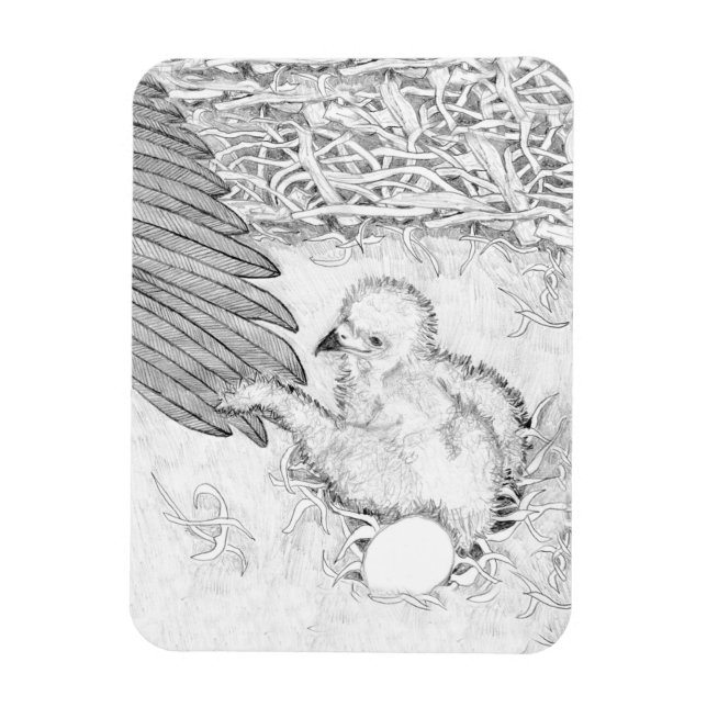 HEMMA, andra naturen E14, som åker hem på Ozzies V Magnet (Vertikal)