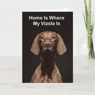 Hemma Är Där Min Vizsla Är Kort