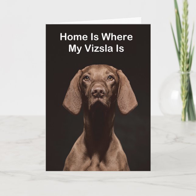 Hemma Är Där Min Vizsla Är Kort (Framsida)