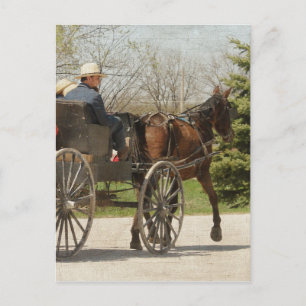 Hemma för Amish-familjen Vykort