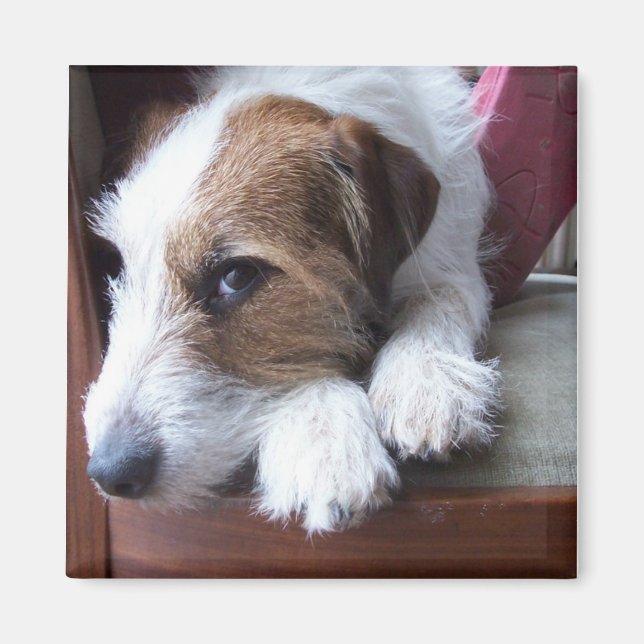 Hemma i Söndag Magnet (Framsidan)