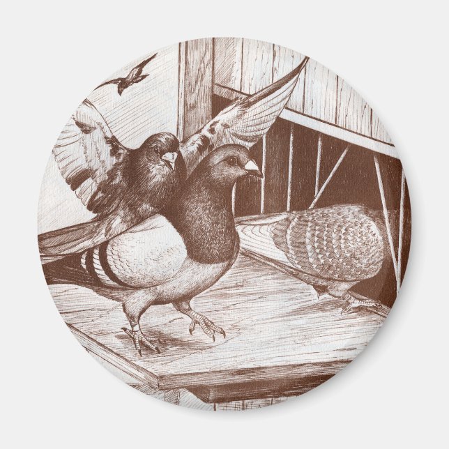 Hemma Magnet (Framsidan)