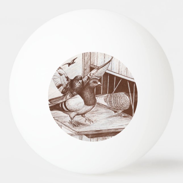 Hemma Pingisboll (Framsidan)