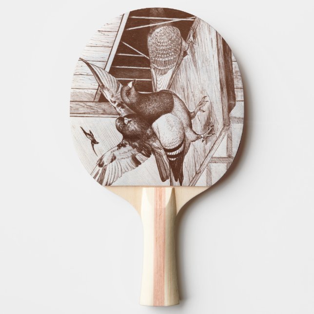 Hemma Pingisracket (Framsidan)