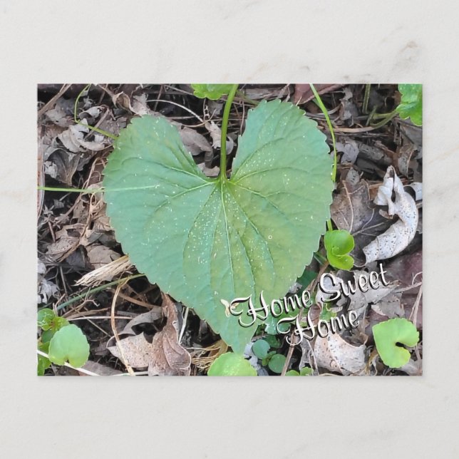 HEMMET ÄR BÄST dynamiskt blad foto | Vykort (Framsida)