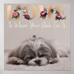 Hemmet är där din Shih Tzu är Poster
