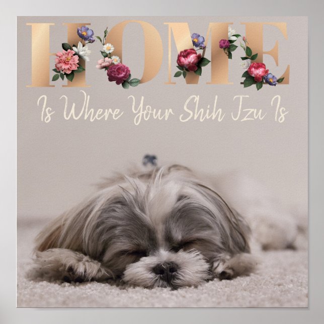 Hemmet är där din Shih Tzu är Poster (Framsidan)