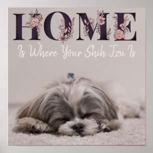 Hemmet är där din Shih Tzu är Poster