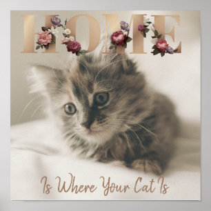 Hemmet är där ditt katt är poster