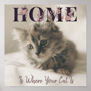 Hemmet är där ditt katt är poster