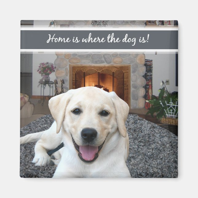 Hemmet är där hund finns magnet (Framsidan)