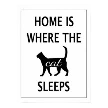 Hemmet är där kattlepparna finns