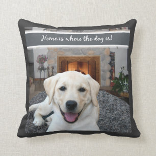 Hemmet är var hunden är kudde