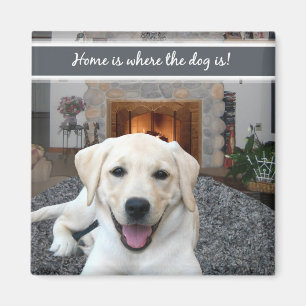 Hemmet är var hunden är magnet