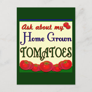 Hemodling Tomato Garden Slogan Vykort